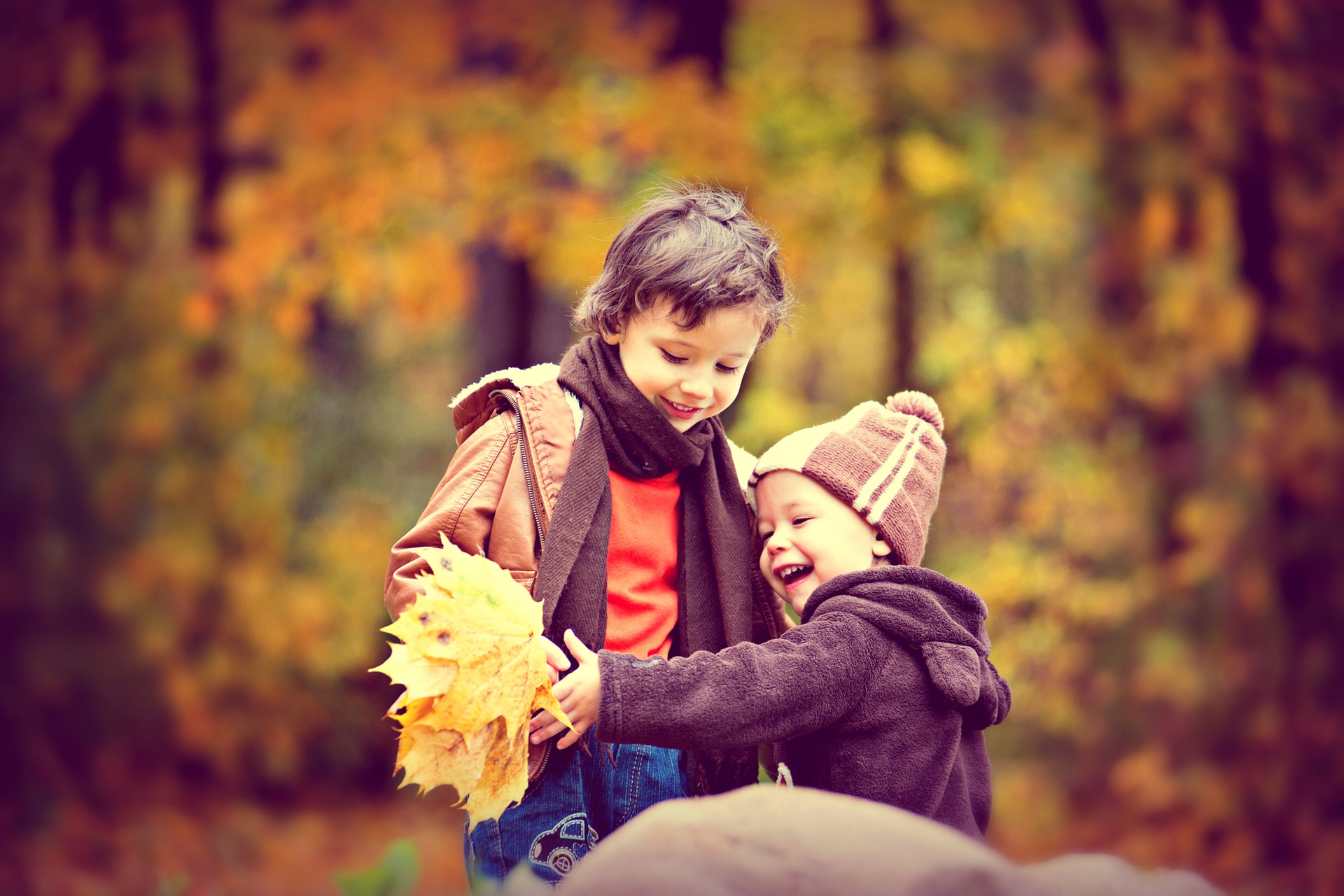 Kleine kinderen spelen met herfstbladeren in het bos
